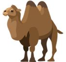 Two-Hump Camel Emoji, Facebook style