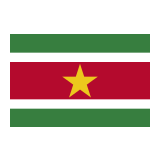 Flag: Suriname Emoji, Google style