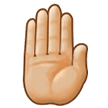 Raised Back of Hand Emoji with Medium-Light Skin Tone, Samsung style