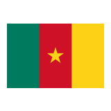 Flag: Cameroon Emoji, Google style