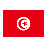 Flag: Tunisia Emoji, Google style