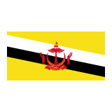 Flag: Brunei Emoji, Google style