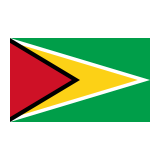 Flag: Guyana Emoji, Google style