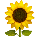 Sunflower Emoji, Apple style