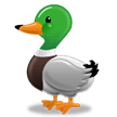 Duck Emoji, Samsung style