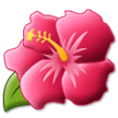 Hibiscus Emoji, Samsung style