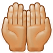 Palms Up Together Emoji with Medium-Light Skin Tone, Samsung style