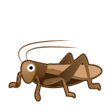 Cricket Emoji, Google style