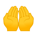 Palms Up Together Emoji, Google style