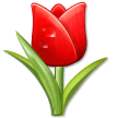 Tulip Emoji, Samsung style