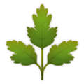 Herb Emoji, LG style