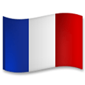 Flag: France Emoji, LG style