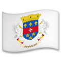 Flag: St. BarthéLemy Emoji, LG style