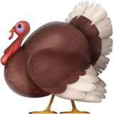 Turkey Emoji Meaning with Pictures: from A to Z