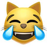 😹 Laughing Cat Emoji Meaning with Pictures: from A to Z