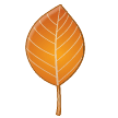 Fallen Leaf Emoji, Samsung style