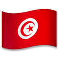 Flag: Tunisia Emoji, LG style